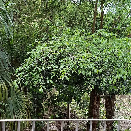 Relais La Corte Dei Cavalieri Bed & Breakfast Siena